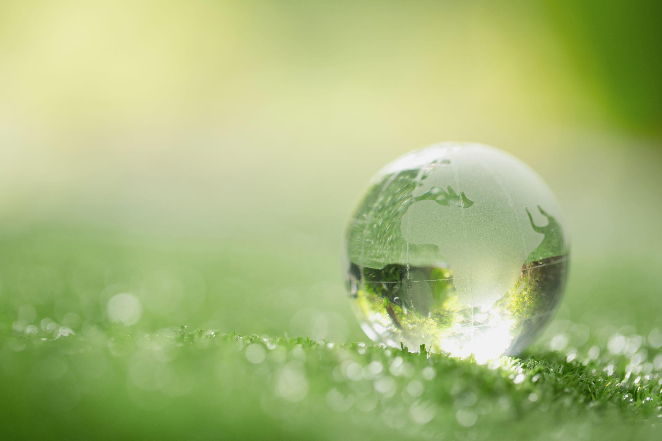 close-up-crystal-globe-resting-grass-forest-scaled.jpg