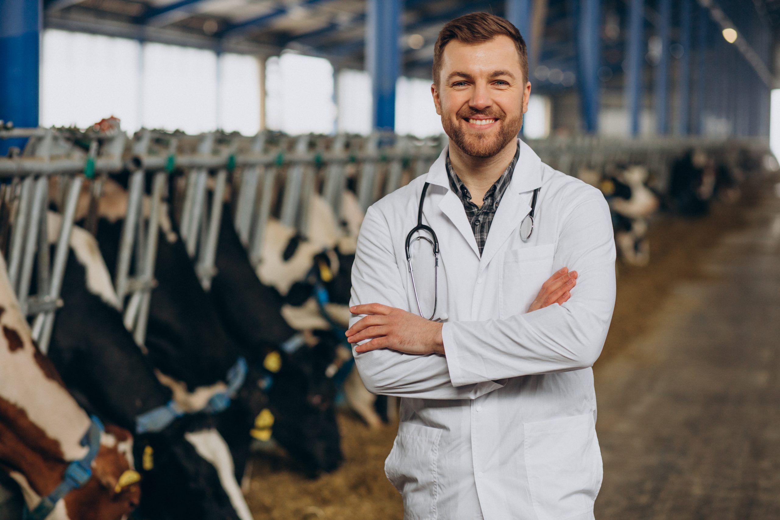 veterinary-lab-robe-standing-cowshed-scaled.jpg